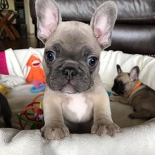 Cross stitch pattern: #1985951