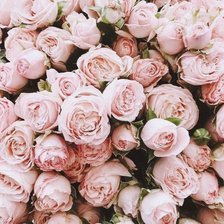 Cross stitch pattern: #1986045