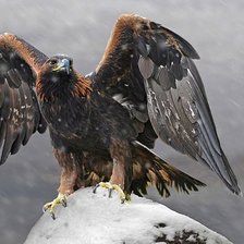 Cross stitch pattern: #1986620