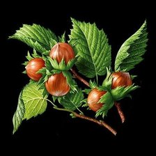 Cross stitch pattern: #1986625