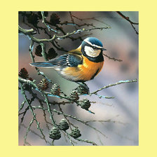 Cross stitch pattern: #1986651