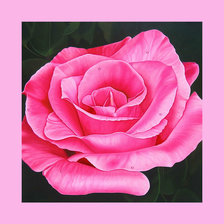 Cross stitch pattern: #1986708