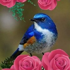 Cross stitch pattern: #1986758