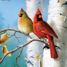 Cross stitch pattern: #1986763