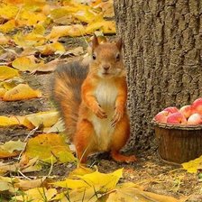 Cross stitch pattern: #1986862