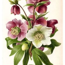 Cross stitch pattern: #1987243