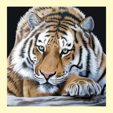 Cross stitch pattern: #1987352