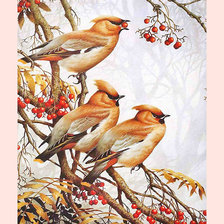 Cross stitch pattern: #1987479