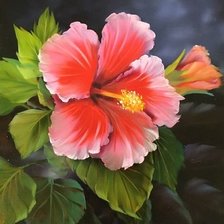 Cross stitch pattern: #1987779