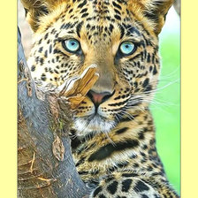 Cross stitch pattern: #1987809