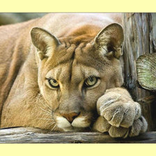 Cross stitch pattern: #1987964