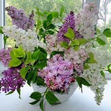 Cross stitch pattern: #1988383