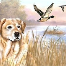 Cross stitch pattern: #1988461