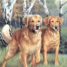 Cross stitch pattern: #1989104