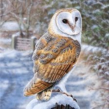 Cross stitch pattern: #1989556