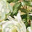 Preview of cross stitch pattern: #1989604