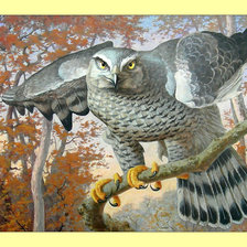 Cross stitch pattern: #1989874