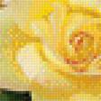 Preview of cross stitch pattern: #1990284