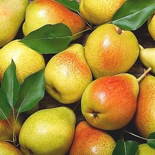 Cross stitch pattern: #1990358