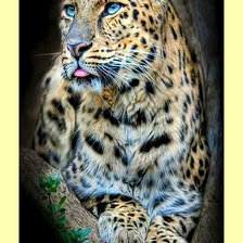 Cross stitch pattern: #1990706