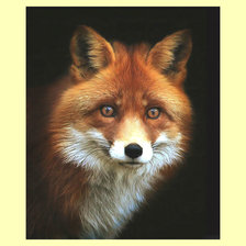 Cross stitch pattern: #1991845