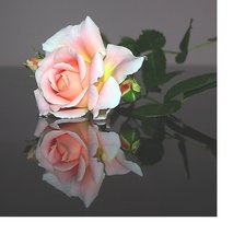 Cross stitch pattern: #1991930