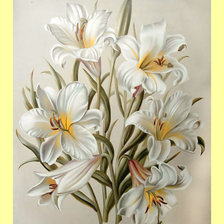 Cross stitch pattern: #1992309