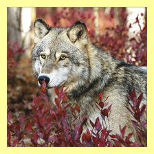 Cross stitch pattern: #1992434