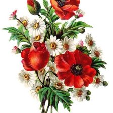 Cross stitch pattern: #1992730