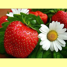 Cross stitch pattern: #1992783