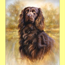 Cross stitch pattern: #1993045