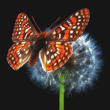 Cross stitch pattern: #1994290