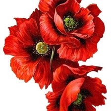 Cross stitch pattern: #1994626