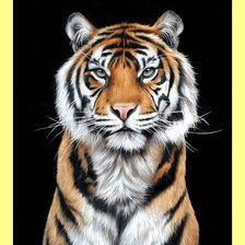 Cross stitch pattern: #1995348