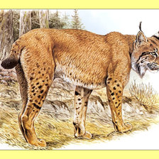 Cross stitch pattern: #1995383