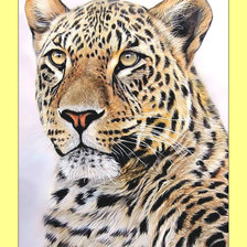 Cross stitch pattern: #1995392