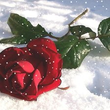 Cross stitch pattern: #1995478