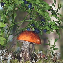 Cross stitch pattern: #1995685