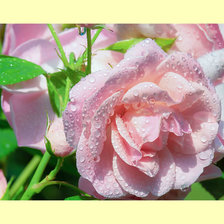 Cross stitch pattern: #1996210