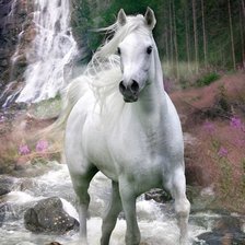 Cross stitch pattern: #1996408