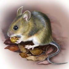 Cross stitch pattern: #1996514