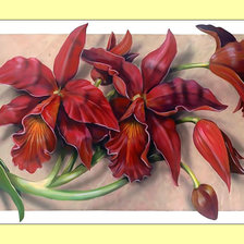 Cross stitch pattern: #1996583