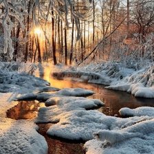 Cross stitch pattern: #1998036