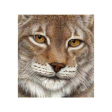 Cross stitch pattern: #1998041