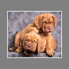 Cross stitch pattern: #1998043