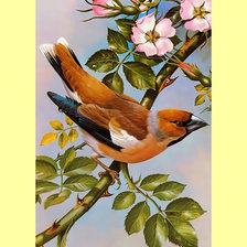 Cross stitch pattern: #1998419