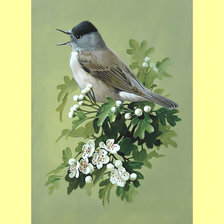 Cross stitch pattern: #1998420