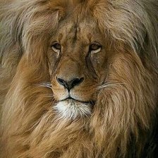 Cross stitch pattern: #1998458