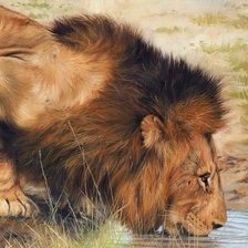 Cross stitch pattern: #1999117