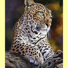 Cross stitch pattern: #1999152